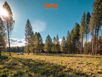 Real Estate Offices Brim Patagonia