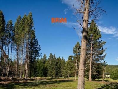 Real Estate Offices Brim Patagonia