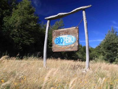 Bio Bio Expediciones
