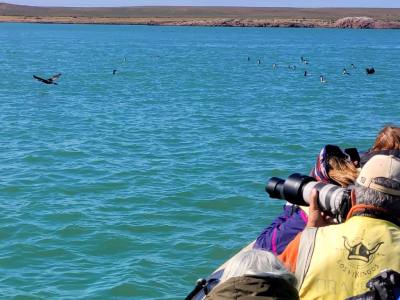 Paseos Marítimos Los Vikingos Turismo Aventura