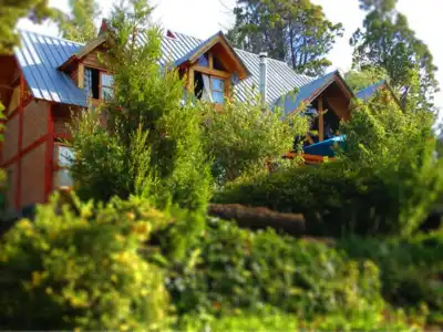 Las Piemontesas