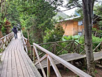 Cabins Javi