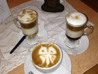 Cafeterías Café Camello Patagón