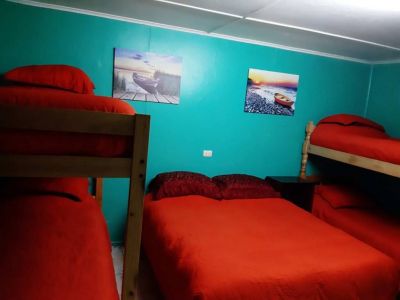 Albergues/Hostels Betty