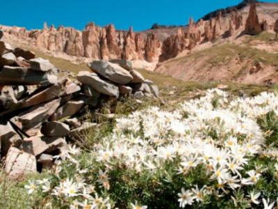 Travel and Tourist Agency Salvaje Corazon