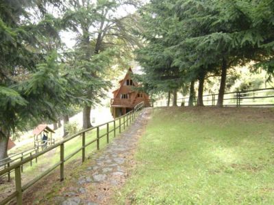 Cabañas Lago Elizalde