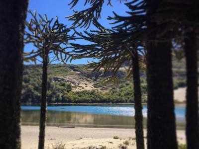 Kayak Outings Impodi