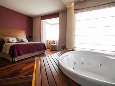 Apart Hoteles Antu Malal