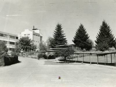 Museos Museo de Exploración Rudolph A. Philippi