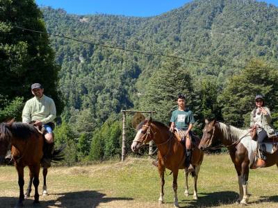 Travel and Tourist Agency Turismo Linoico