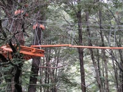 Canopy Canopy Pro