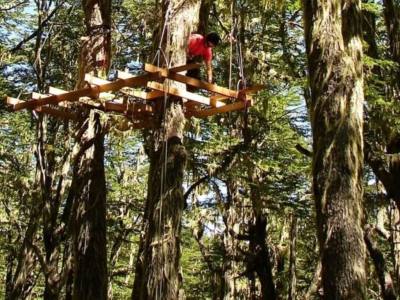Canopy Canopy Pro