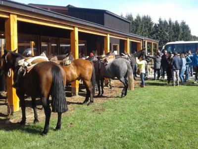 Agencias de viajes y turismo Turismo Lago Llanquihue