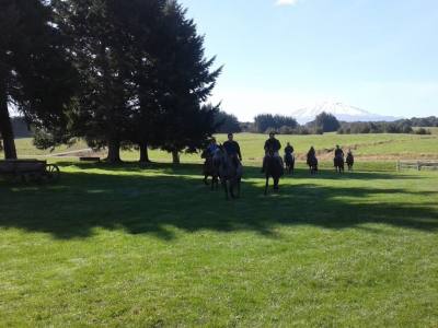 Agencias de viajes y turismo Turismo Lago Llanquihue