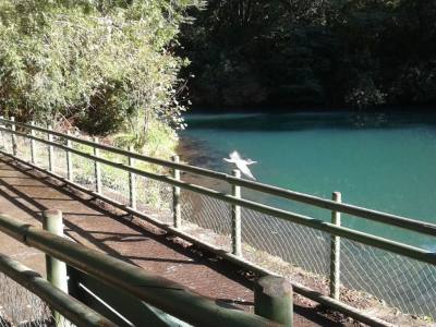 Agencias de viajes y turismo Turismo Lago Llanquihue