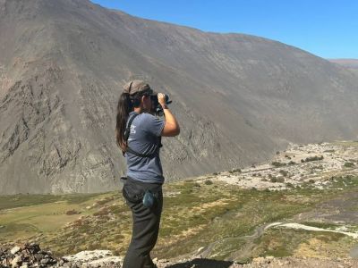 Agencias de viajes y turismo Birds Chile
