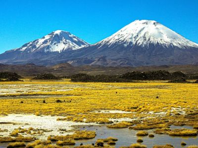 Agencias de viajes y turismo Birds Chile