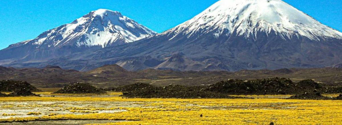 Agencias de viajes y turismo Birds Chile