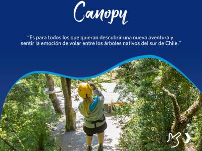 Agencias de viajes y turismo Turistour