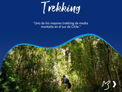 Agencias de viajes y turismo Turistour