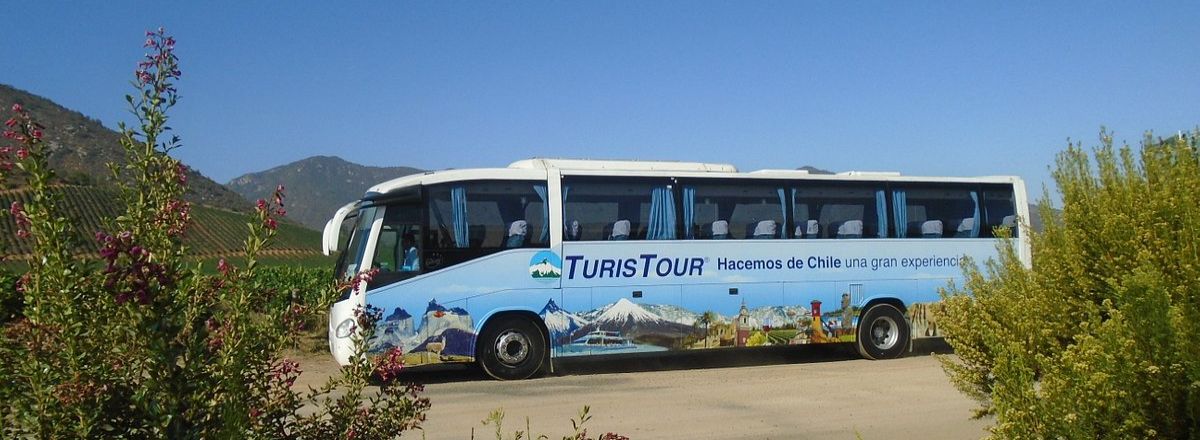 Agencias de viajes y turismo Turistour
