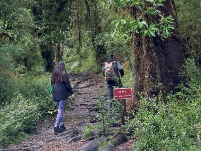 Agencias de viajes y turismo Contentour