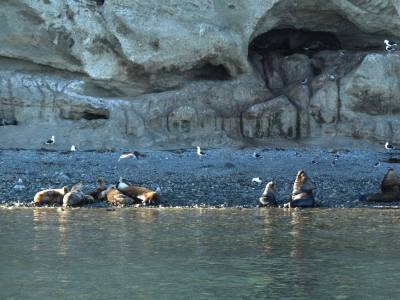 Travel and Tourist Agency Feel Patagonia