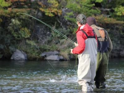 Travel and Tourist Agency Feel Patagonia