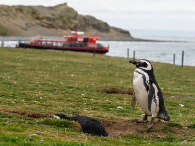Travel and Tourist Agency Feel Patagonia