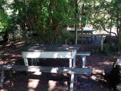 Camping Sites Agro Camping La Araucaria