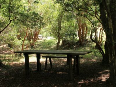 Campings Agro Camping La Araucaria