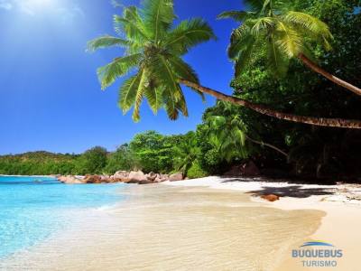 Travel and Tourist Agency Buquebus