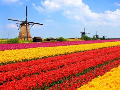 Travel and Tourist Agency Turpan Viajes y Turismo