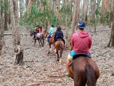Cabalgatas Alanca