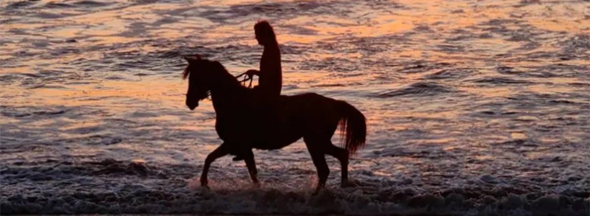 Cabalgatas Alanca