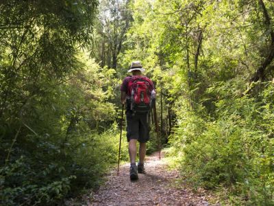Agencias de viajes y turismo Andes Viva