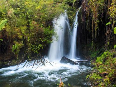 Agencias de viajes y turismo Andes Viva