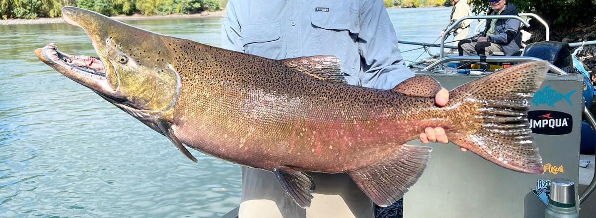 Salidas de Pesca River Trout