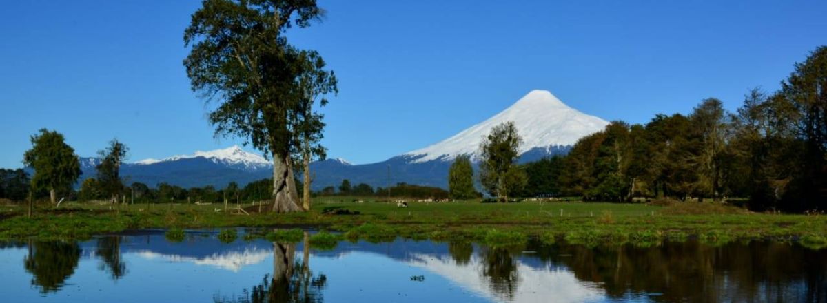 Operadores de Servicios Turísticos Patagonia Austral