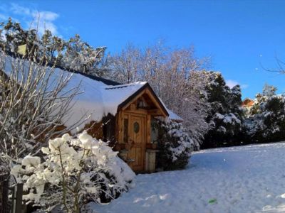 Blue Bird House