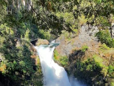 Travel and Tourist Agency Whuauu Viajes y Turismo