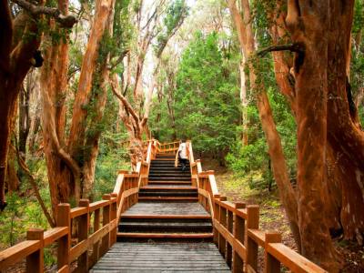Agencias de viajes y turismo Beltway Travel