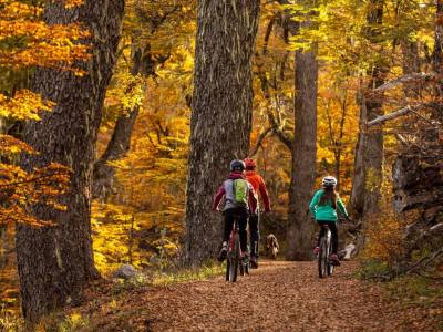 Agencias de viajes y turismo Wilderness Patagonia