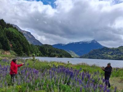 Agencias de viajes y turismo Mate Che
