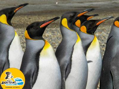 Travel and Tourist Agency Aikentour