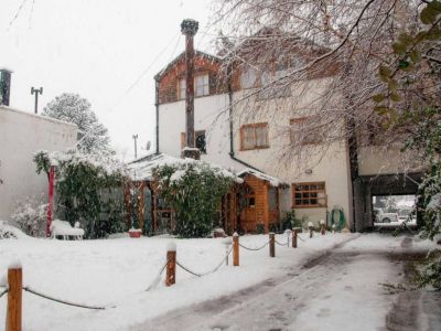 3-star Hostelries El Arbol Duende