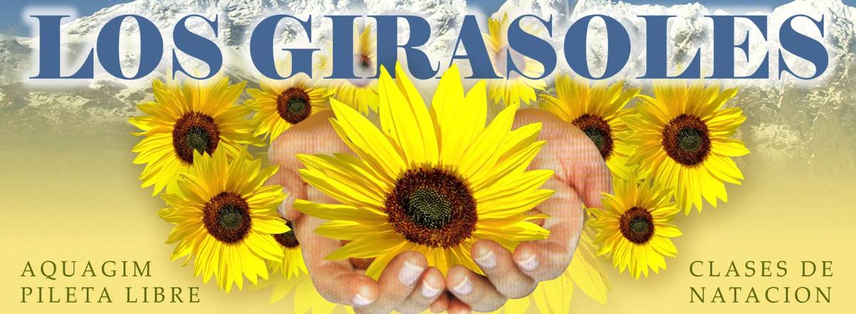 Departamentos Los Girasoles