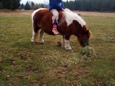 Alquileres de propiedades turísticas El Campito