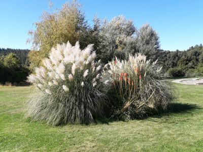 Alquileres de propiedades turísticas El Campito