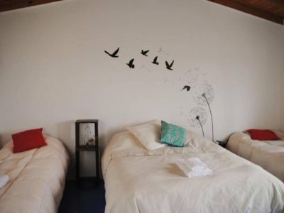 Bungalows / Short Term Apartment Rentals La Casa del Rey de las Ballenas